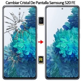 Cambiar Cristal de Pantalla Samsung Galaxy S20 FE