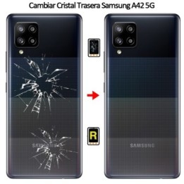 Cambiar Tapa Trasera Samsung Galaxy A42 5G
