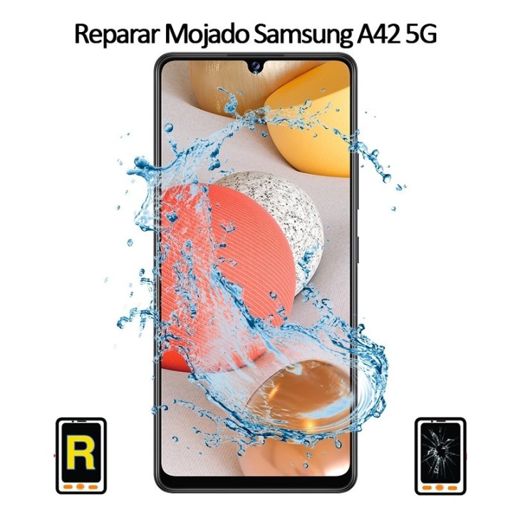 Reparar Mojado Samsung Galaxy A42 5G