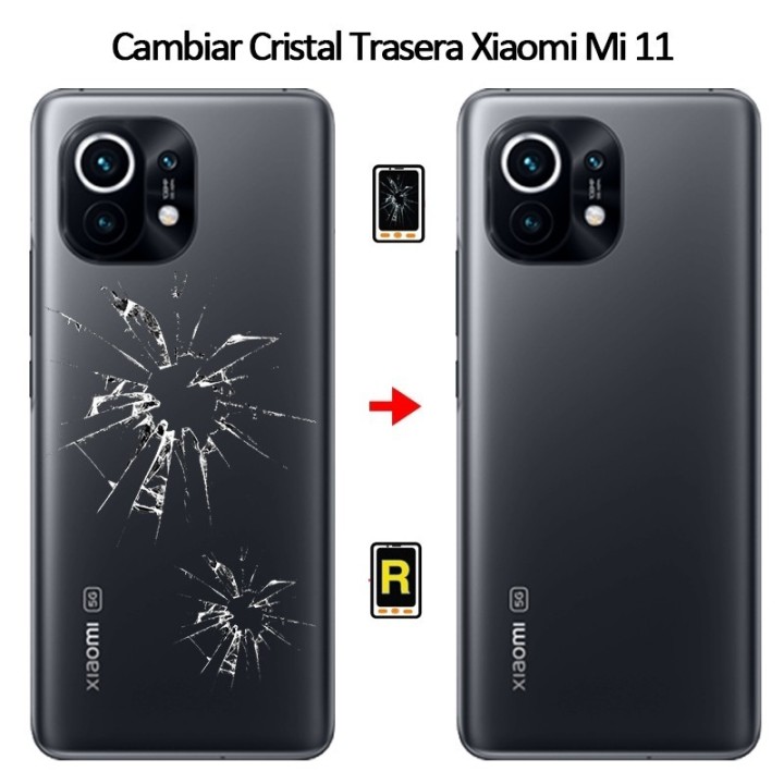 Cambiar Tapa Trasera Xiaomi Mi 11 5G