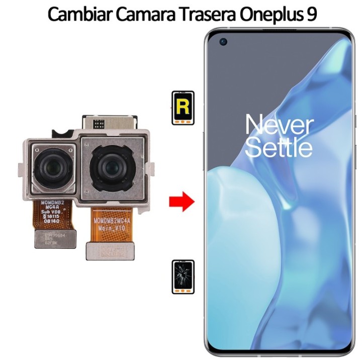 Cambiar Cámara Trasera Oneplus 9