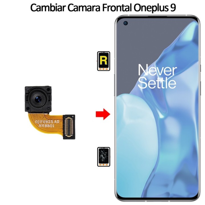 Cambiar Cámara Frontal Oneplus 9