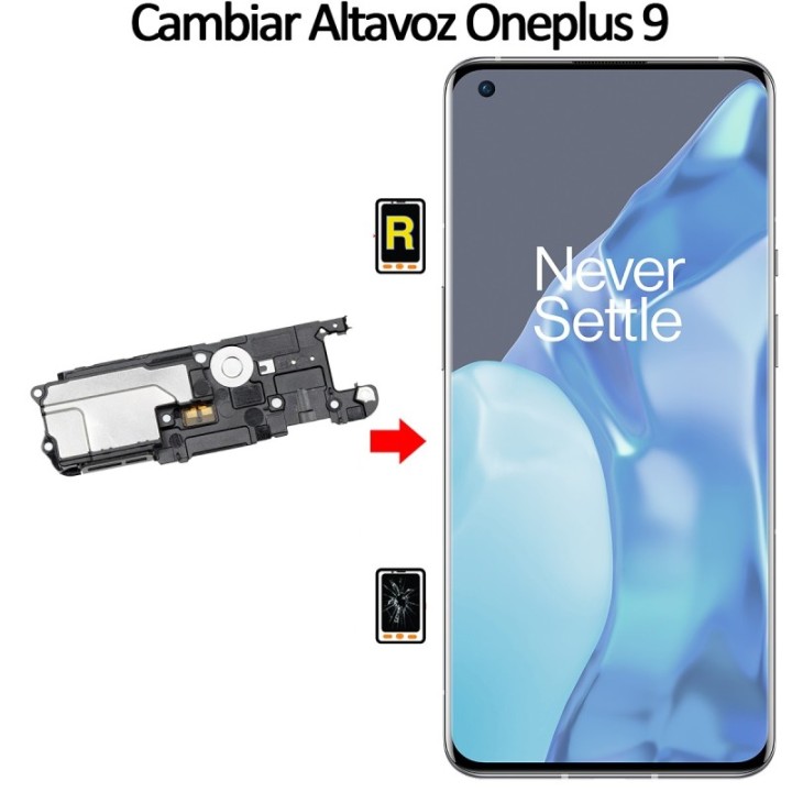 Cambiar Altavoz De Música Oneplus 9