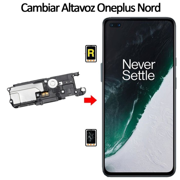 Cambiar Altavoz De Música Oneplus Nord 5G