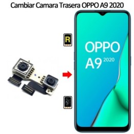 Cambiar Cámara Trasera Oppo A9 2020