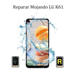 Reparar Mojado LG K61
