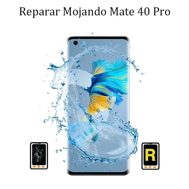 Reparar Mojado Huawei Mate 40 Pro