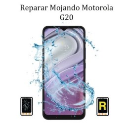 Reparar Mojado Motorola Moto G20