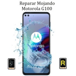 Reparar Mojado Motorola G100