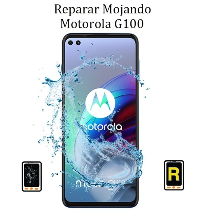 Reparar Mojado Motorola G100
