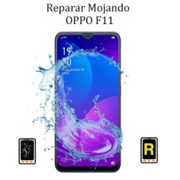 Reparar Mojado OPPO F11