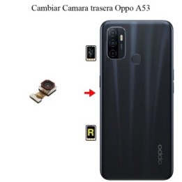 Cambiar Cámara Trasera OPPO A53