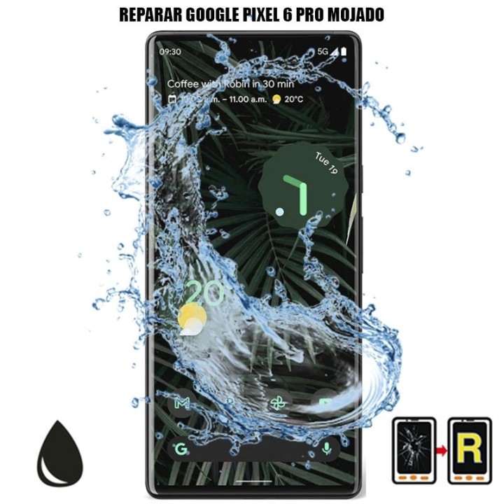 Reparar Mojado Google Pixel 6 Pro