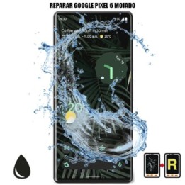 Reparar Mojado Google Pixel 6