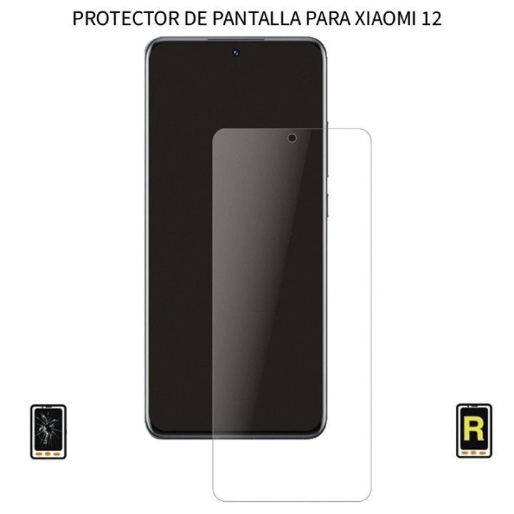 Cristal Templado Xiaomi 12