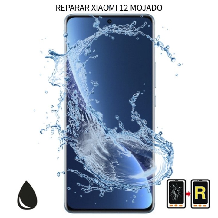 Reparar Mojado Xiaomi 12