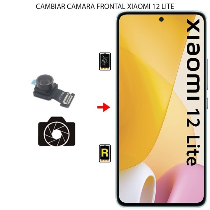 Cambiar Cámara Frontal Xiaomi Mi 12 Lite