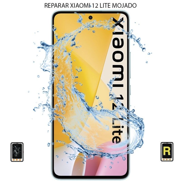 Reparar Mojado Xiaomi Mi 12 Lite