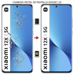 Cambiar Cristal De Pantalla Xiaomi Mi 12X