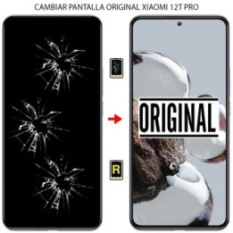 Cambiar Pantalla Xiaomi Mi 12T Pro 5G