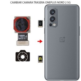 Cambiar Cámara Trasera Oneplus Nord 2 5G