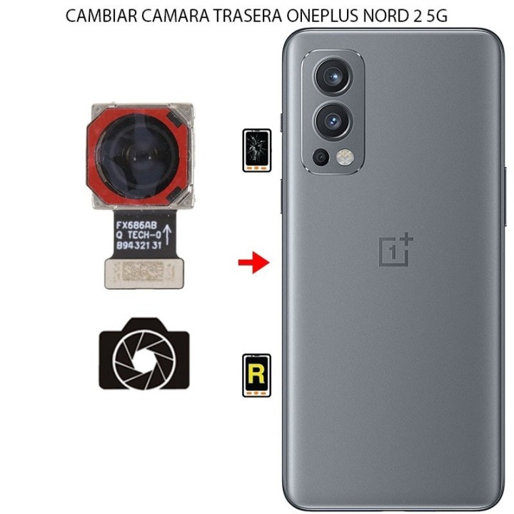 Cambiar Cámara Trasera Oneplus Nord 2 5G