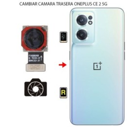 Cambiar Cámara Trasera Oneplus Nord CE 2 5G
