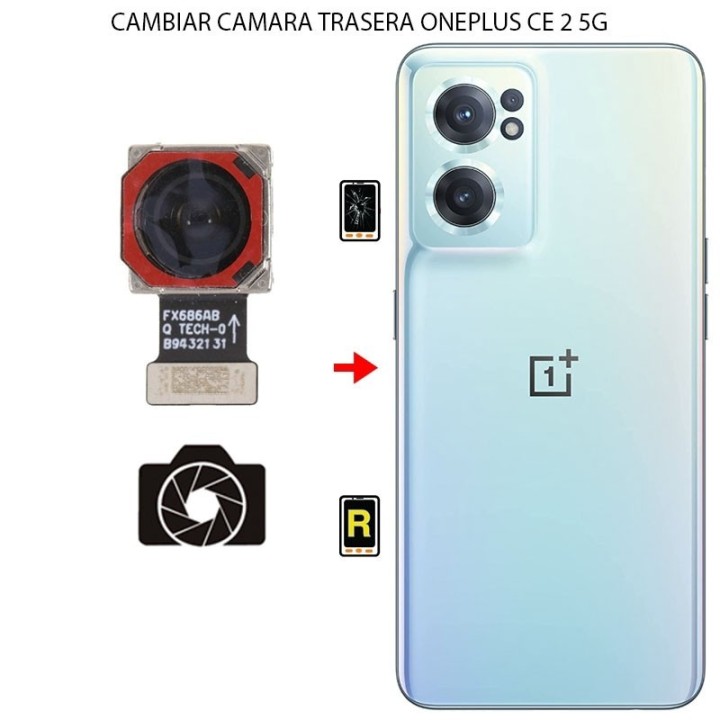 Cambiar Cámara Trasera Oneplus Nord CE 2 5G