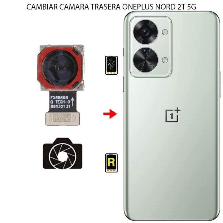 Cambiar Cámara Trasera Oneplus Nord 2T 5G