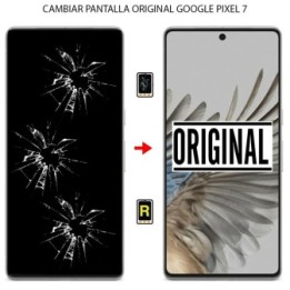 Cambiar Pantalla Google Pixel 7 Original