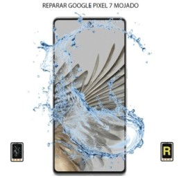 Reparar Mojado Google Pixel 7