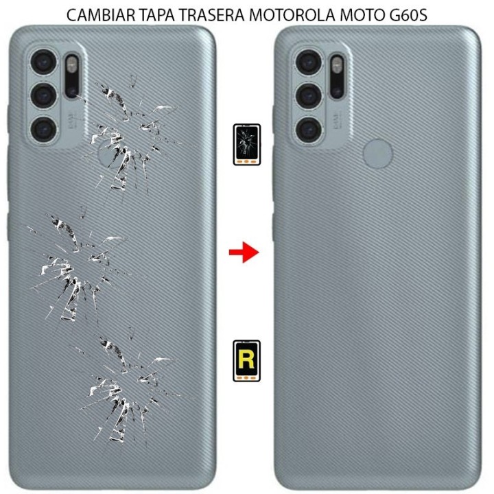 Cambiar Tapa Trasera Motorola Moto G60S