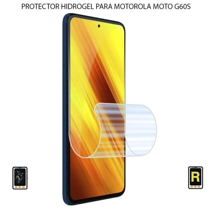 Protector Hidrogel Motorola Moto G60S