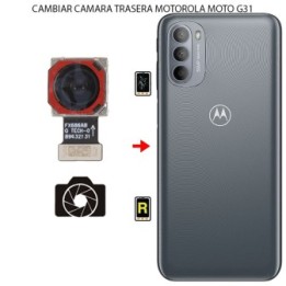 Cambiar Cámara Trasera Motorola Moto G31
