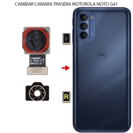 Cambiar Cámara Trasera Motorola Moto G41