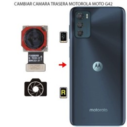 Cambiar Cámara Trasera Motorola Moto G42