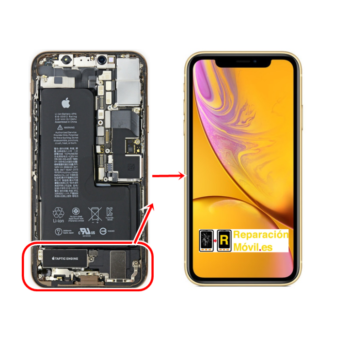 Cambiar Conector De Carga iPhone XR