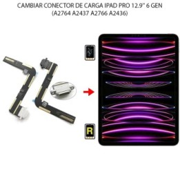 Cambiar Conector De Carga iPad Pro 12.9 2022