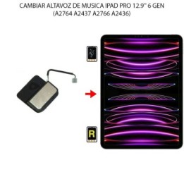 Cambiar Altavoz De Música iPad Pro 12.9 2022