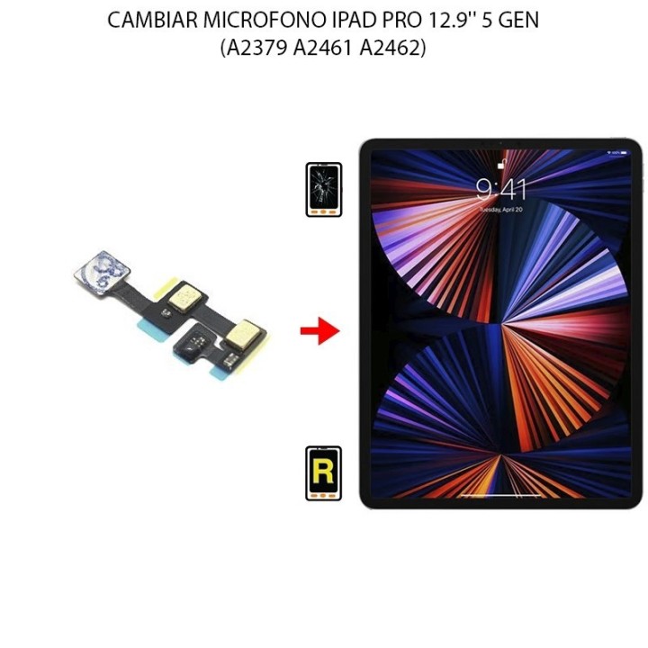 Cambiar Microfono iPad Pro 12.9 2021