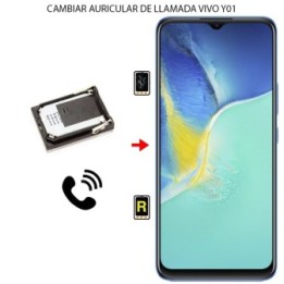 Cambiar Auricular de Llamada Vivo Y01