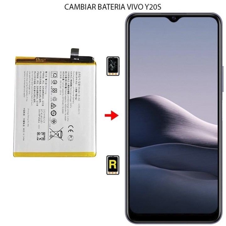 Cambiar Batería Vivo Y20s