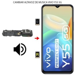 Cambiar Altavoz de Música Vivo Y55 5G