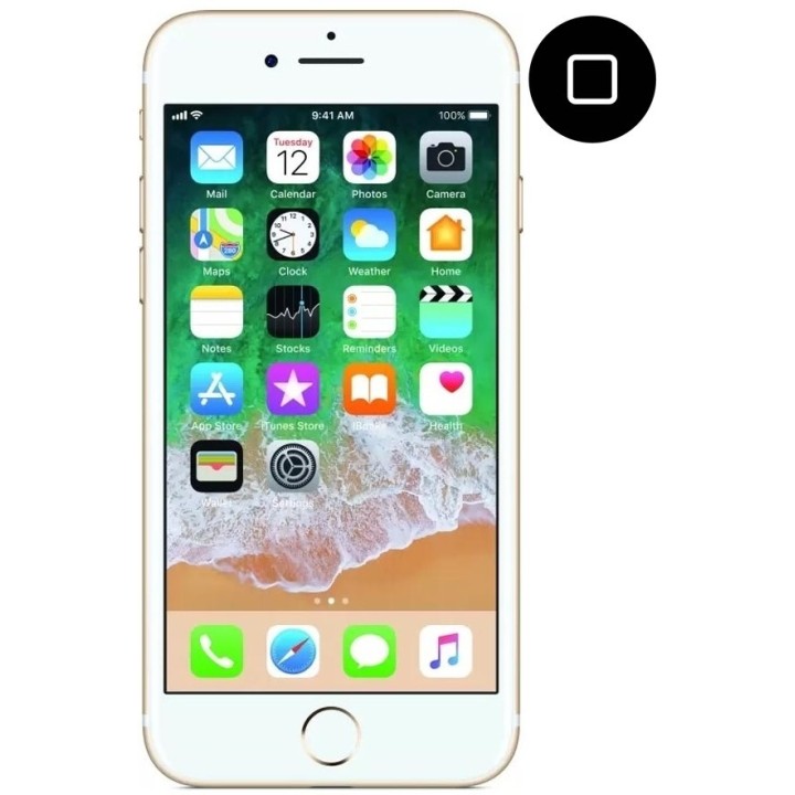 Cambiar botón home iPhone 7