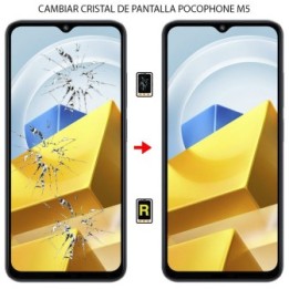 Cambiar Cristal de Pantalla Xiaomi Poco M5