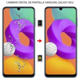 Cambiar Cristal de Pantalla Samsung Galaxy M22