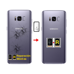 Cambiar Tapa Samsung s8 plus