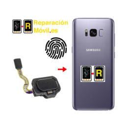 Cambiar Flex De Huella Samsung S8 Plus