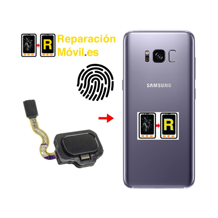 Cambiar Flex De Huella Samsung S8 Plus