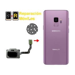Cambiar Flex De Huella Samsung S9